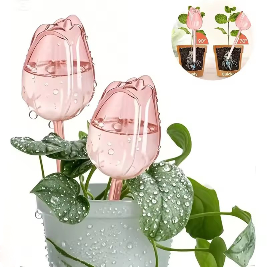 Plant Parenting - Transparent Thick PET Tulip Shaped Self