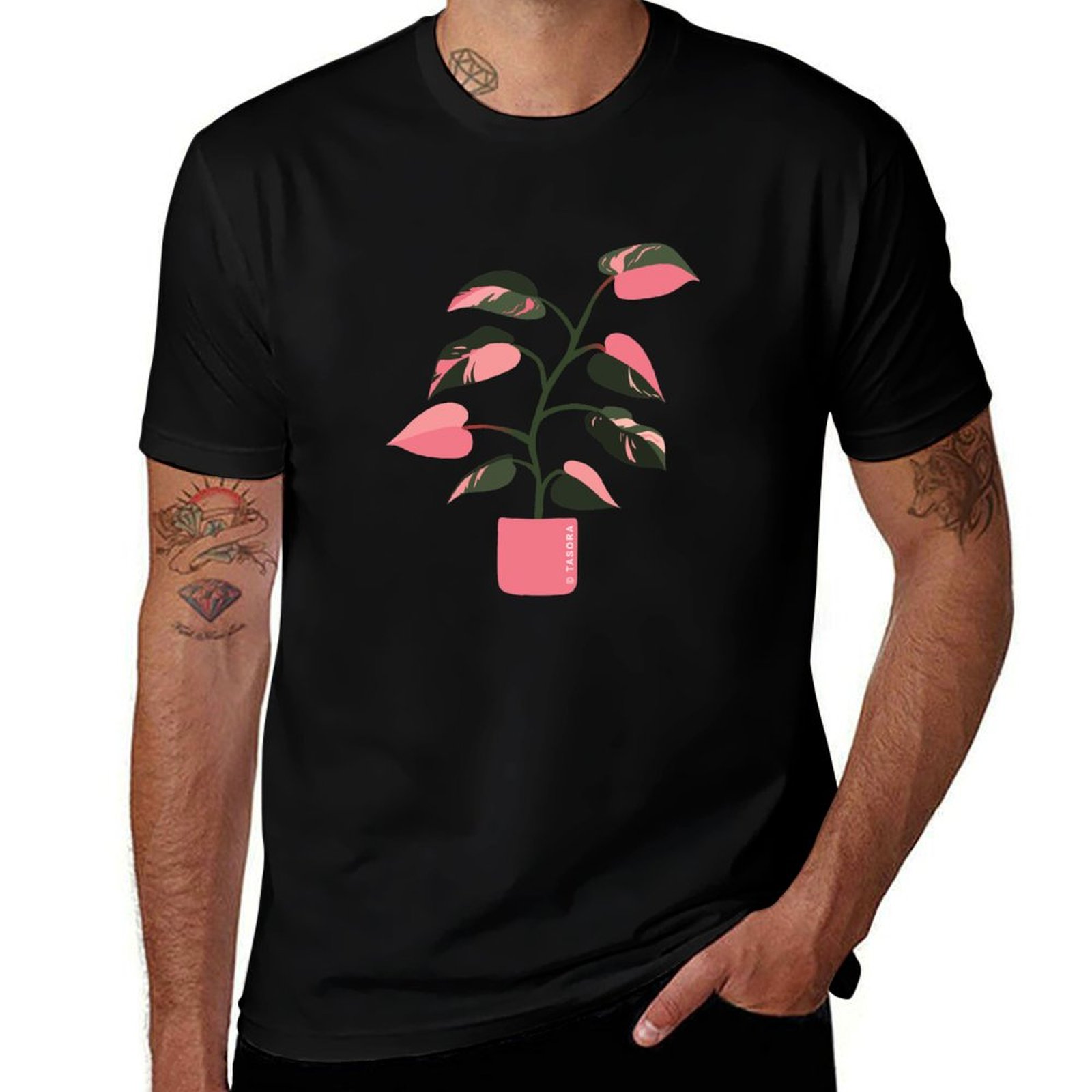 Philodendron Pink Princess Art - Philodendron Pink Princess recension och pris