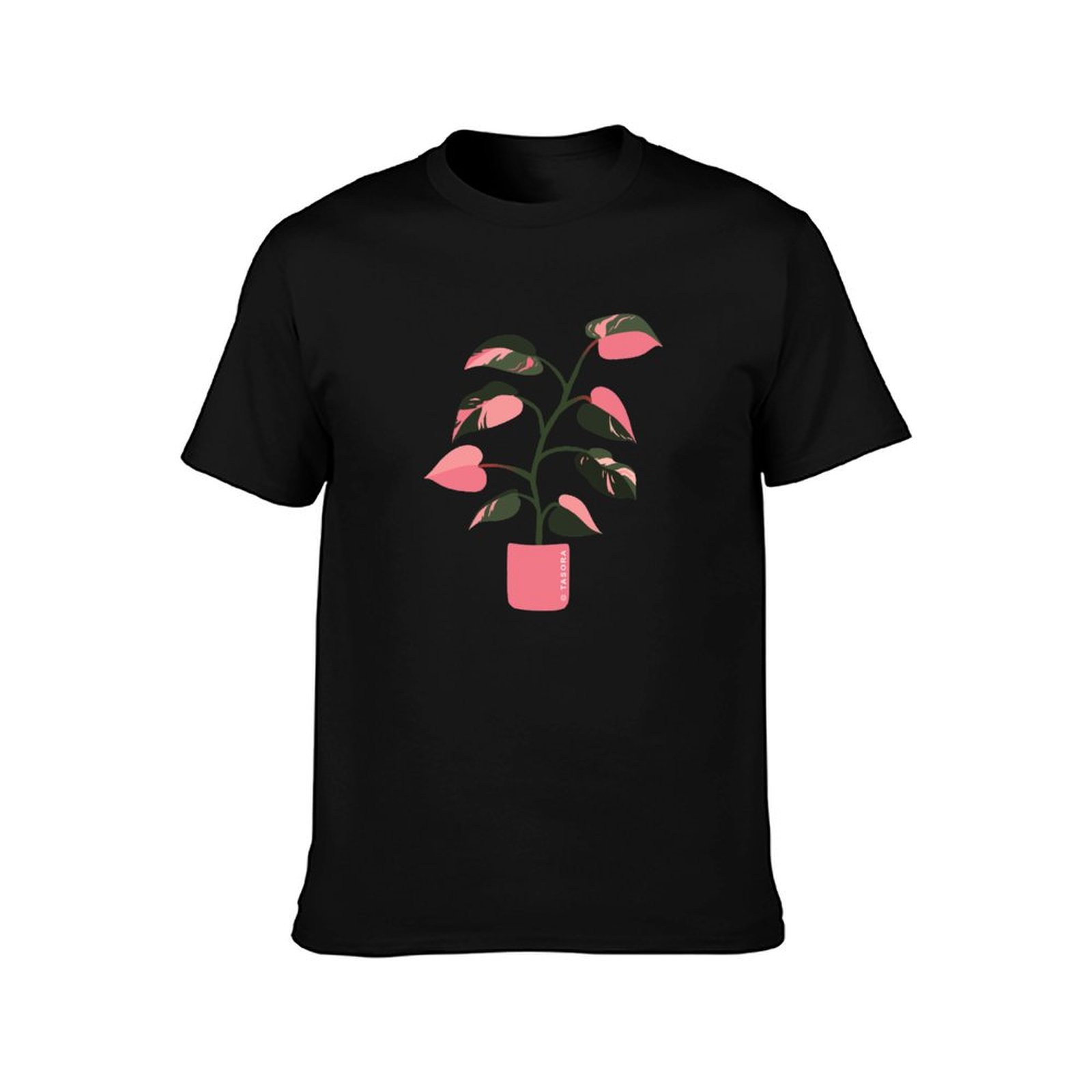 Philodendron Pink Princess Art - Philodendron Pink Princess recension och pris