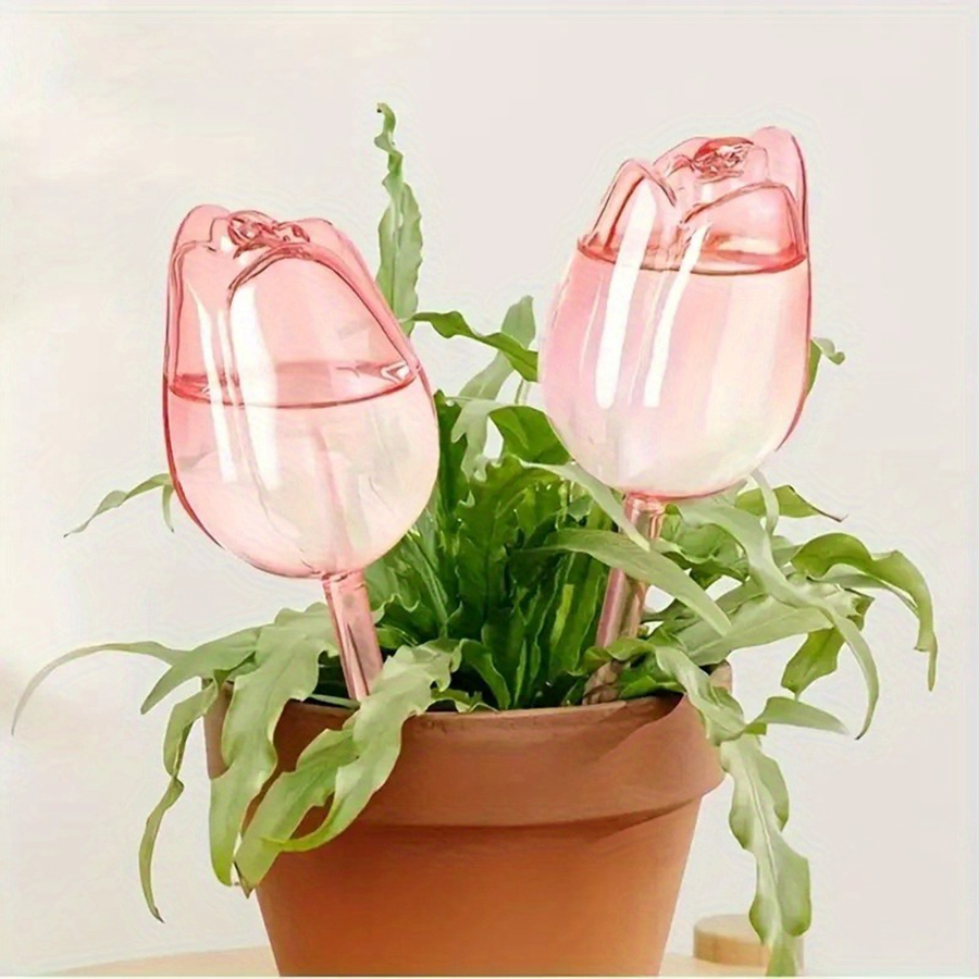 Transparent Thick PET Tulip Sh - Plant Parenting recension och pris