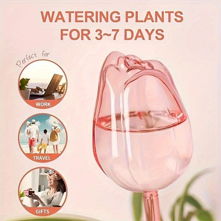 Transparent Thick PET Tulip Sh - Plant Parenting recension och pris