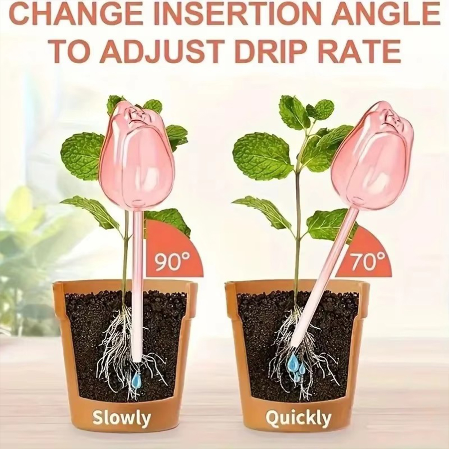 Transparent Thick PET Tulip Sh - Plant Parenting recension och pris