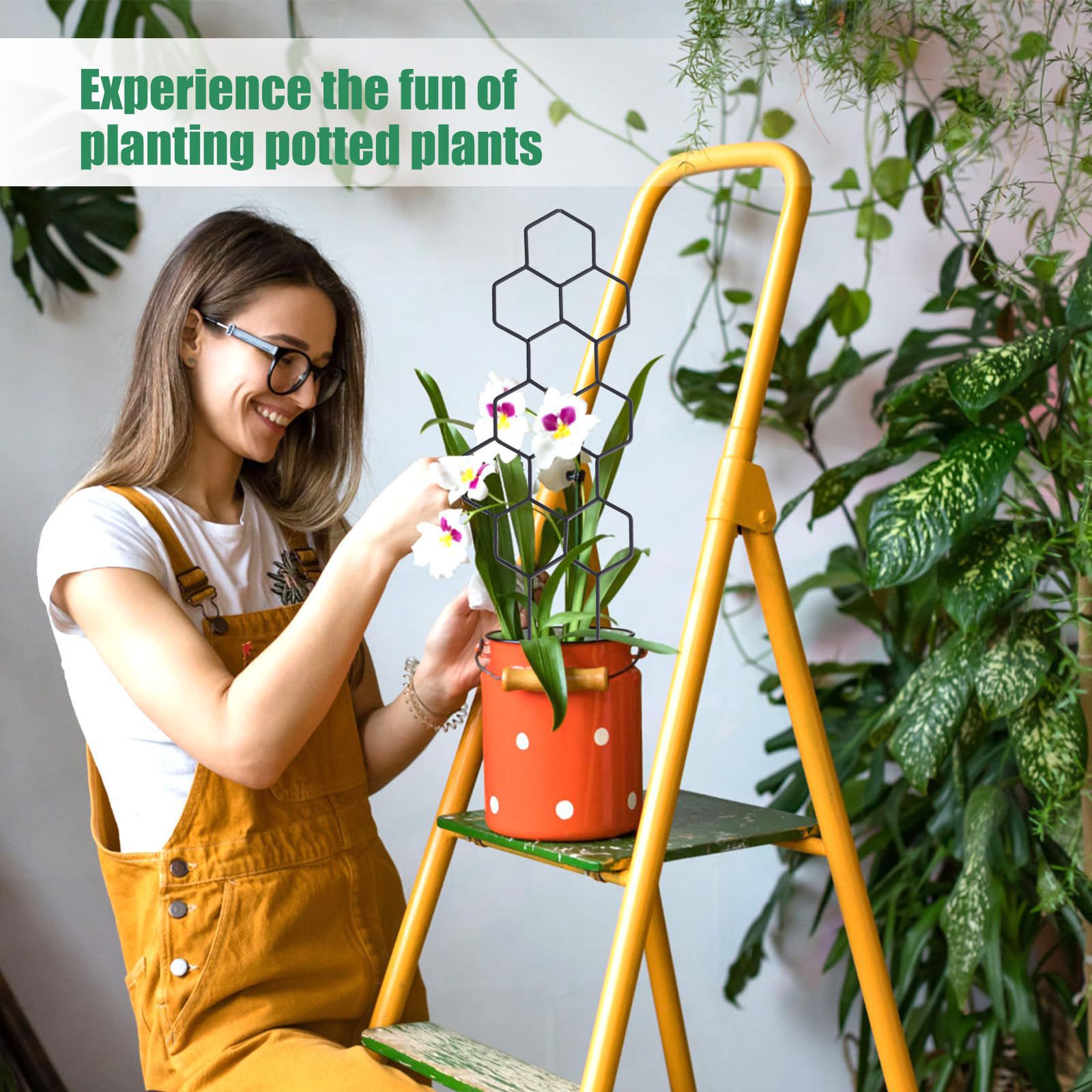 1PC Honeycomb Design Plant Tre - Plant Parenting recension och pris
