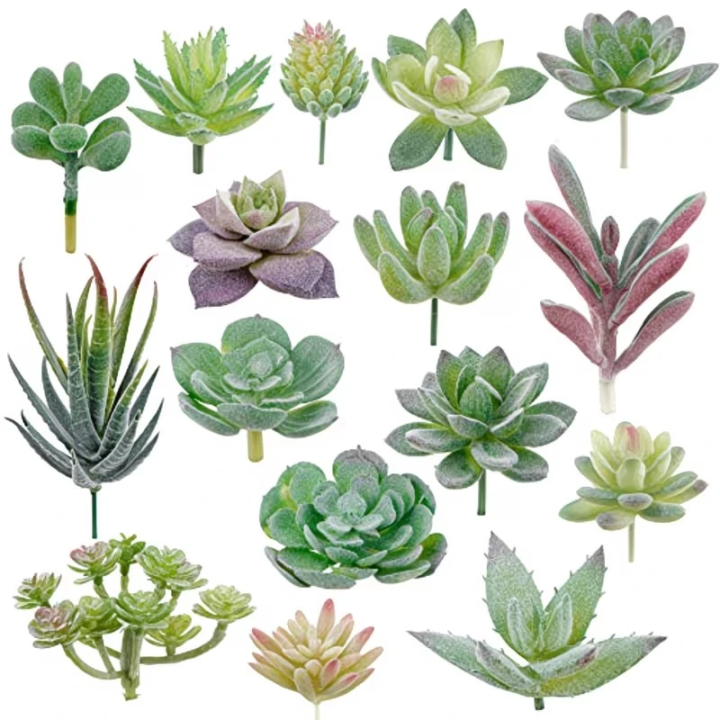 10/20Pcs PVC Succulents Plants - String Of Pearls Plant recension och pris